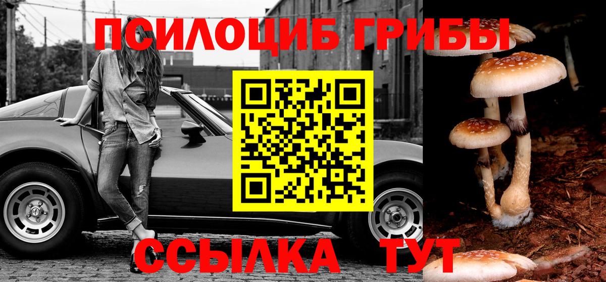 Чебоксары  Псилоцибиновые грибы мухоморы  Вход с VPN 